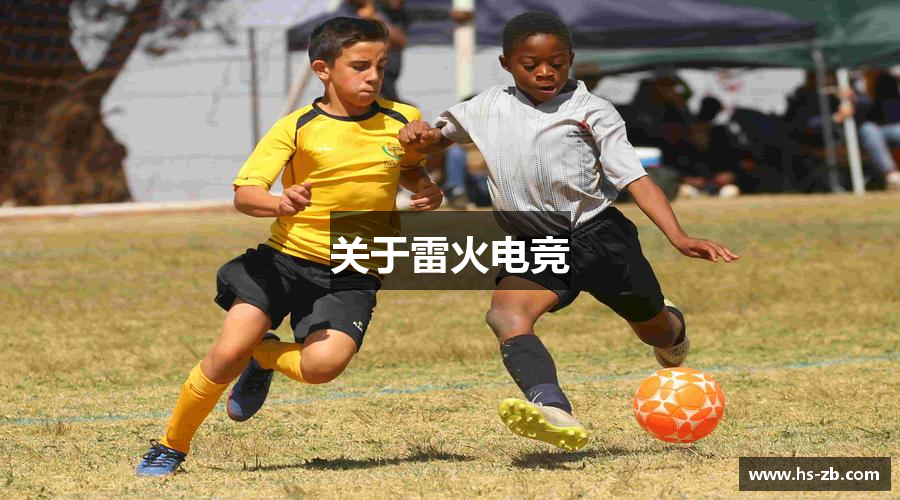 关于雷火电竞